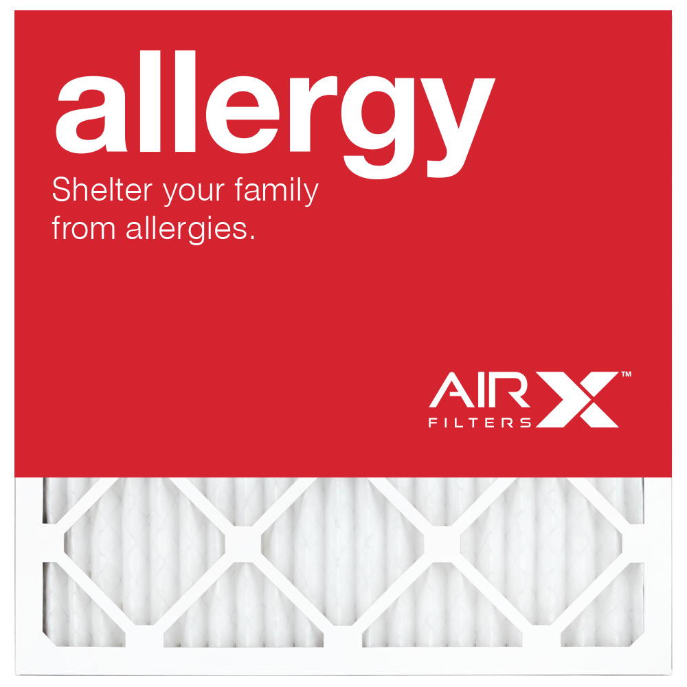 AirX allergy prevention air filter